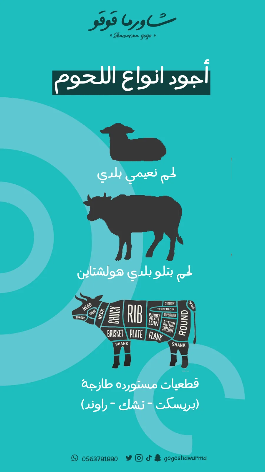 إنفوجرافيك يوضّح أنواع قطع اللحوم برسم توضيحي على خلفية تركوازية.